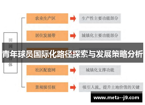 青年球员国际化路径探索与发展策略分析