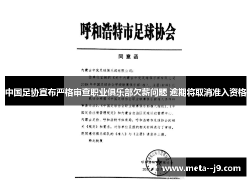 中国足协宣布严格审查职业俱乐部欠薪问题 逾期将取消准入资格